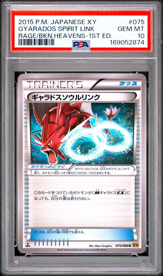 Gyarados Spirit Link