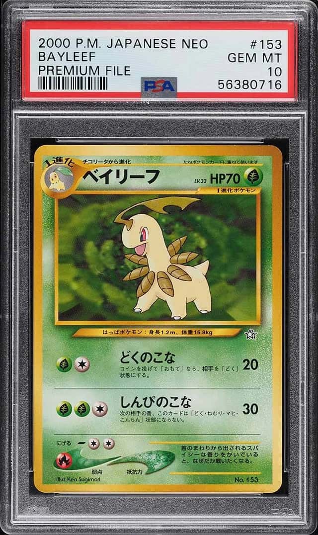 Bayleef