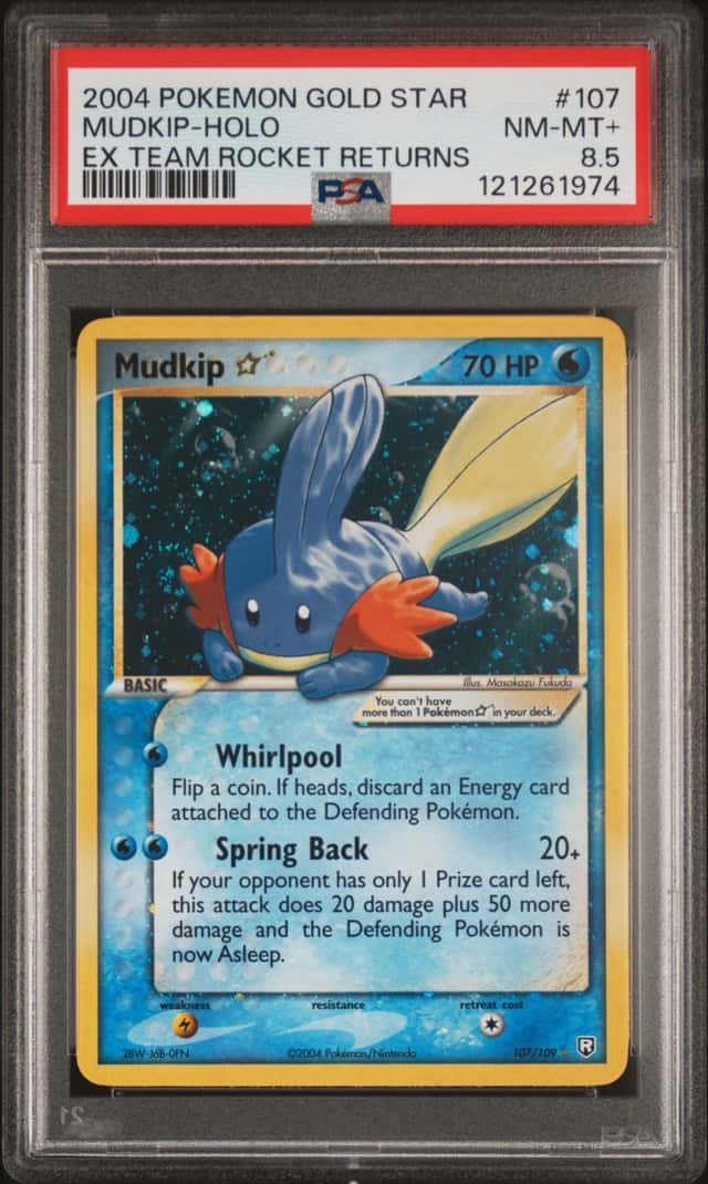 Mudkip