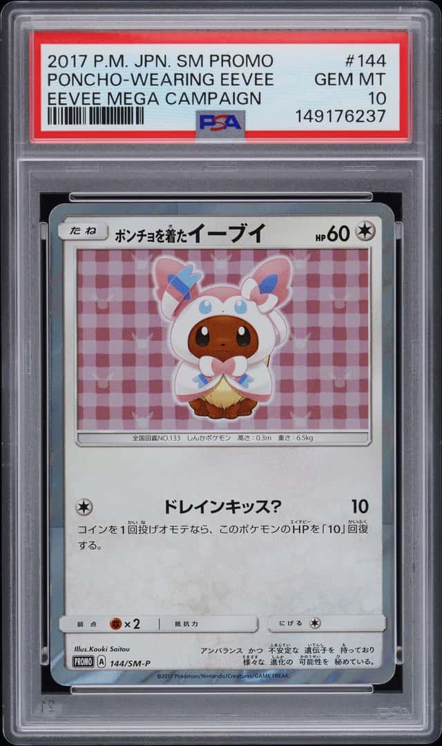 Poncho-Wearing Eevee