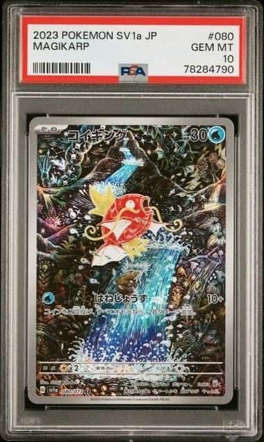 Magikarp