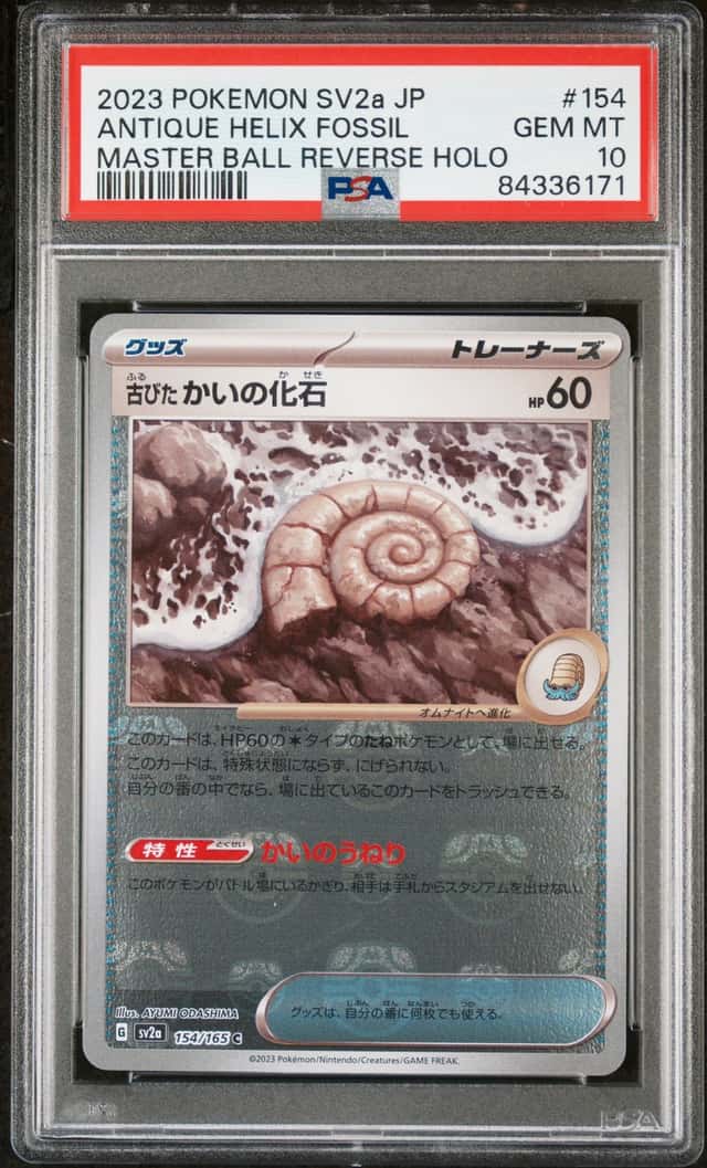 Antique Helix Fossil