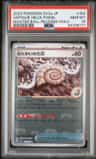 Antique Helix Fossil