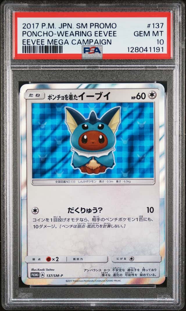 Poncho-wearing Eevee