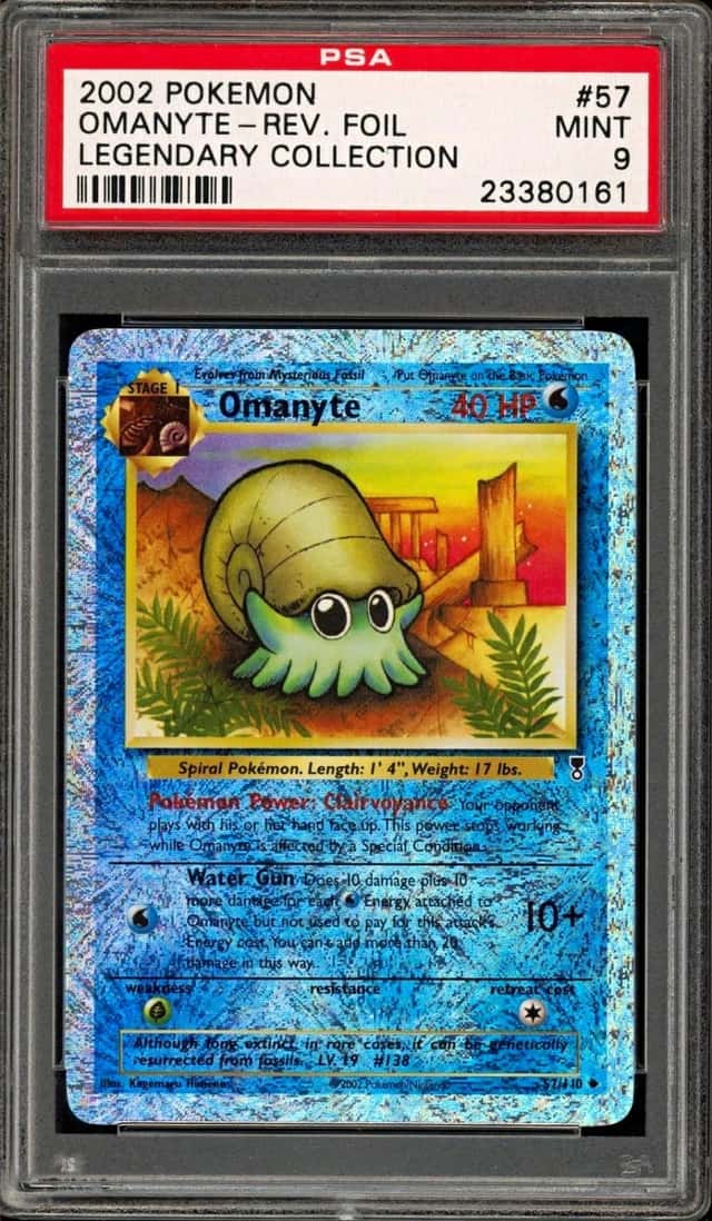 Omanyte