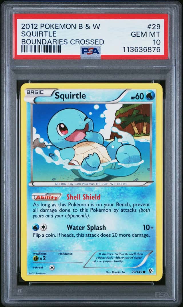 Squirtle