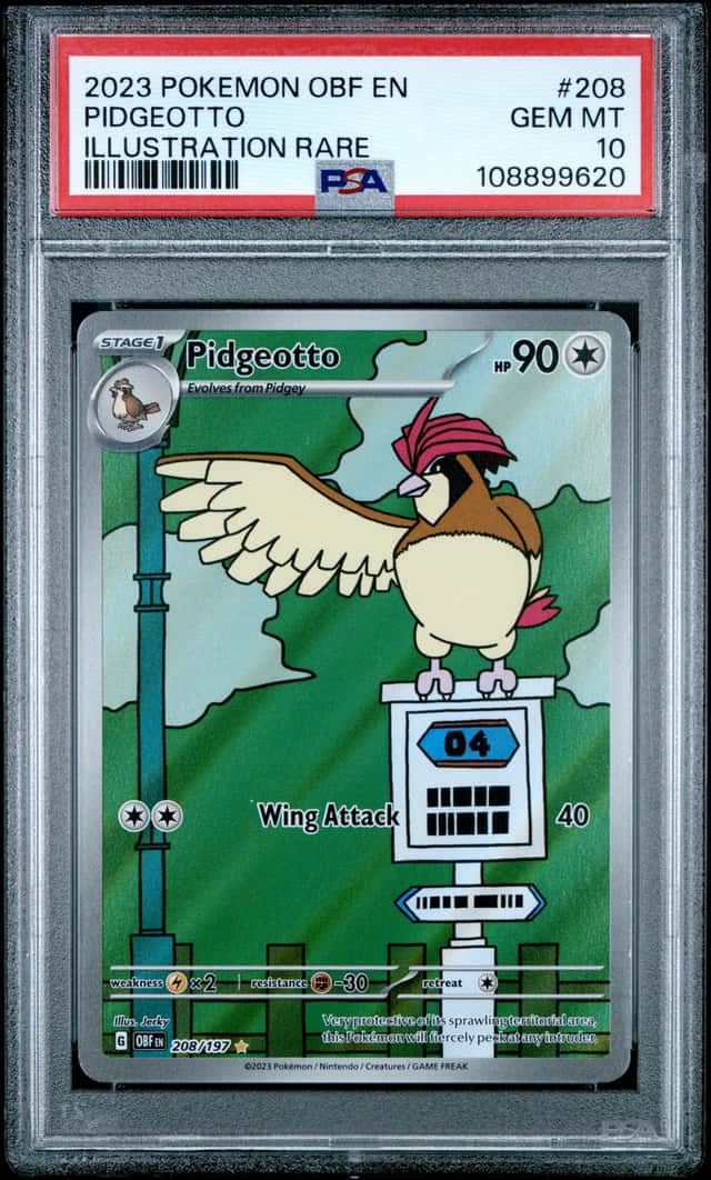 Pidgeotto