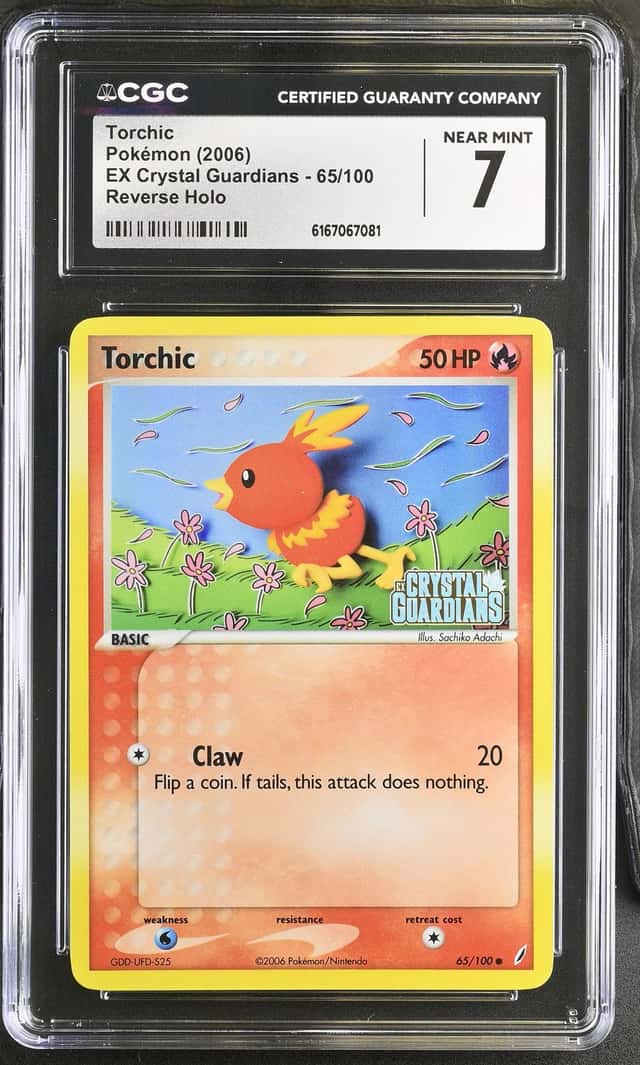 Torchic