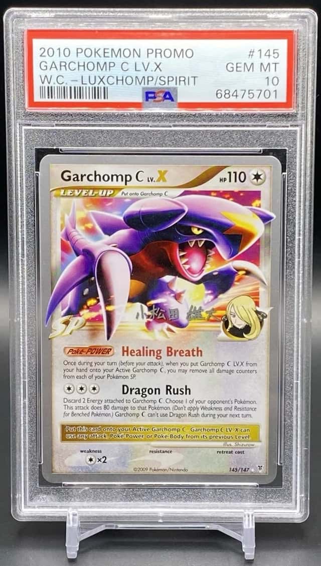 GARCHOMP C LV.X