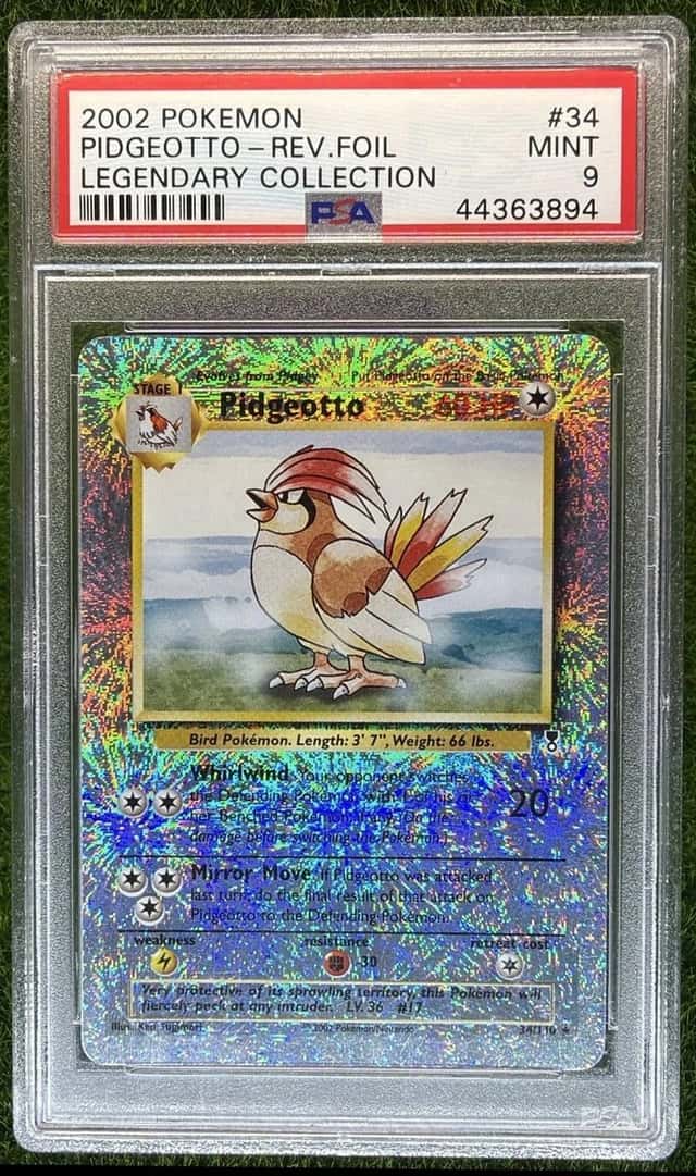 Pidgeotto
