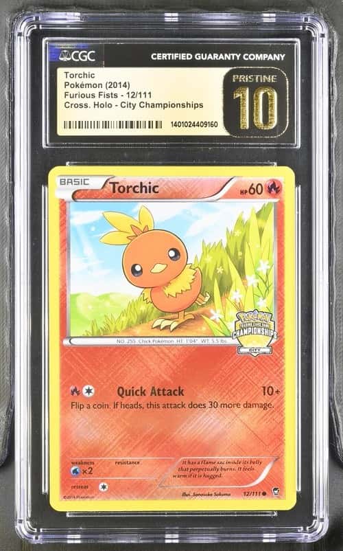 Torchic
