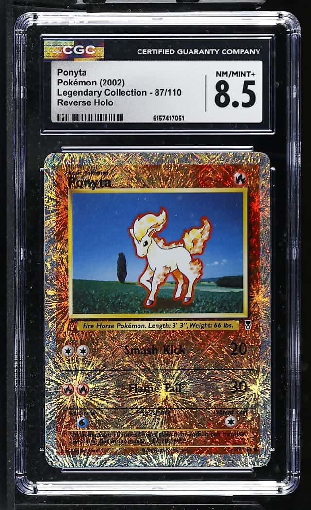 Ponyta