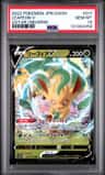 Leafeon V