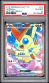 Victini Ex