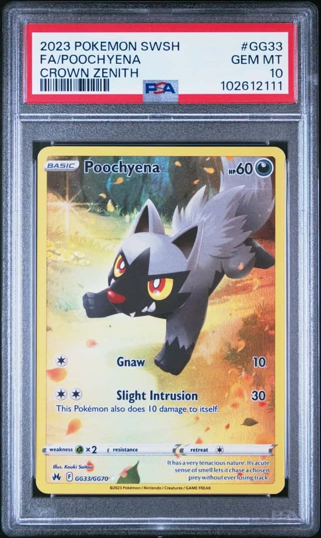 Poochyena