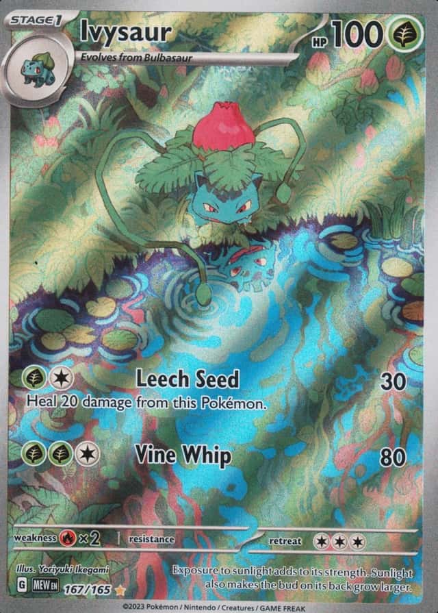 Base / no variant
