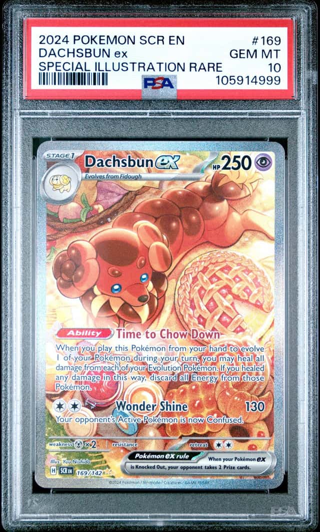 DACHSBUN ex