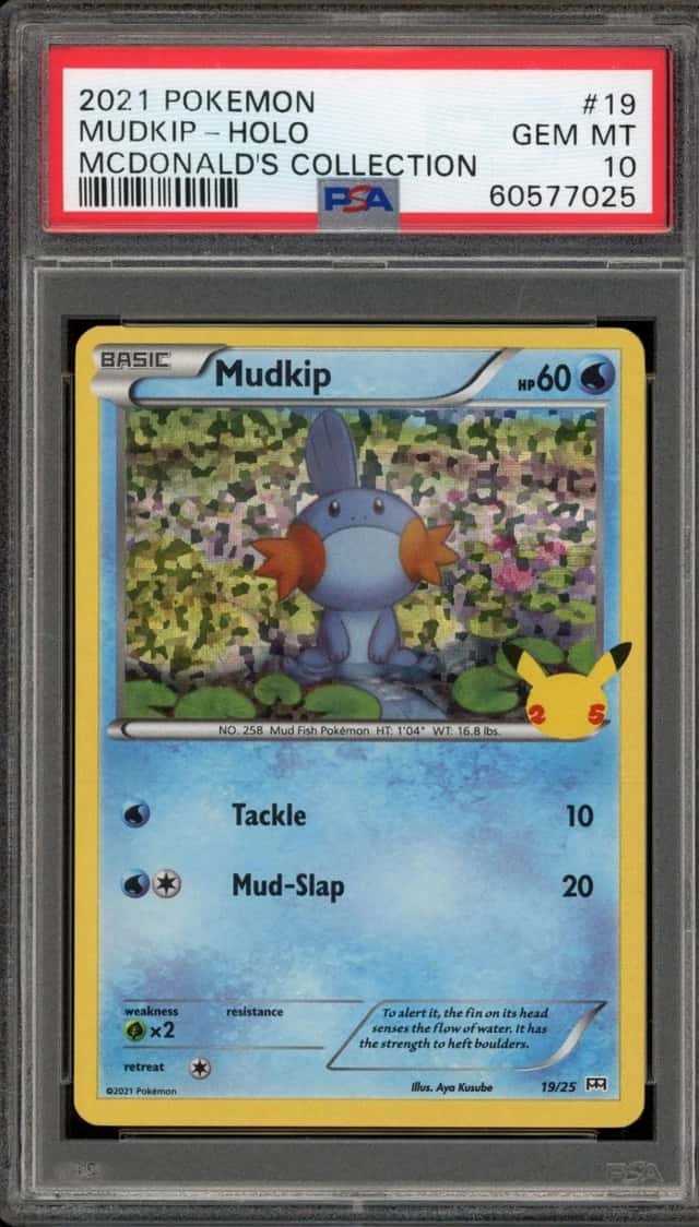 Mudkip