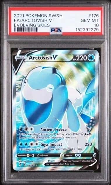 Arctovish V