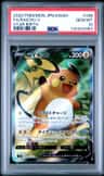 Raichu V