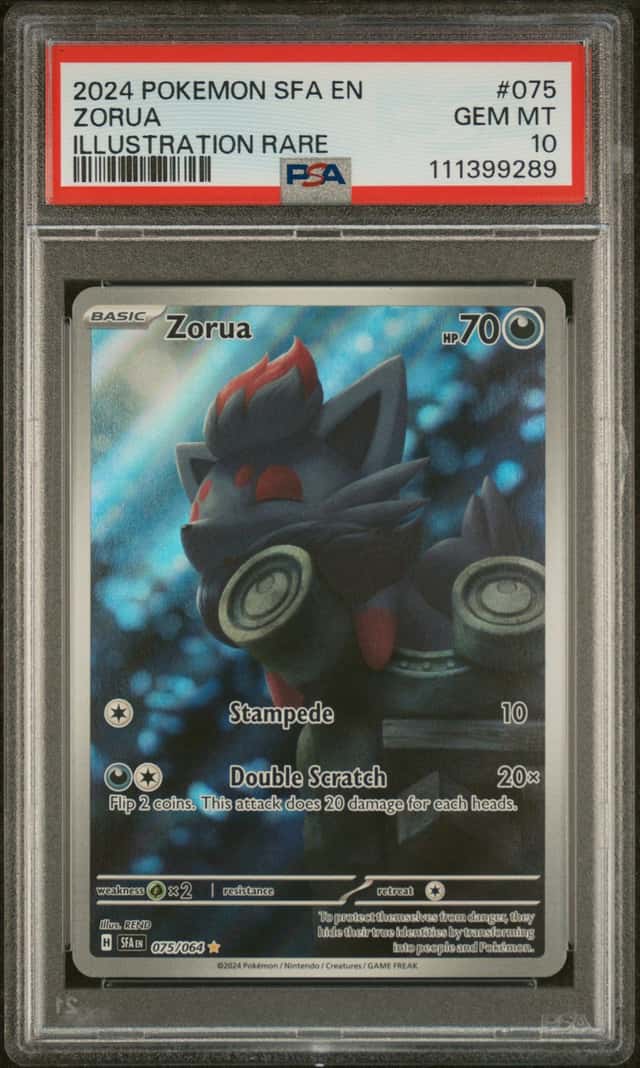 Zorua