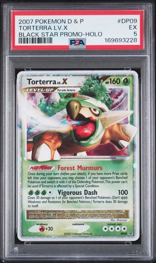 TORTERRA LV.X