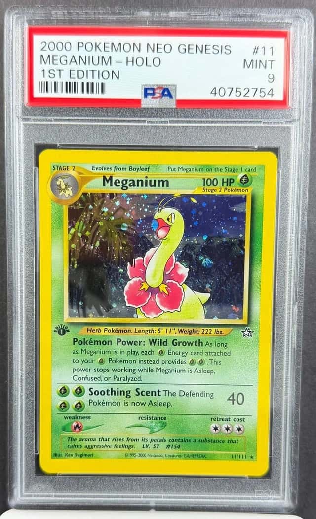 Meganium