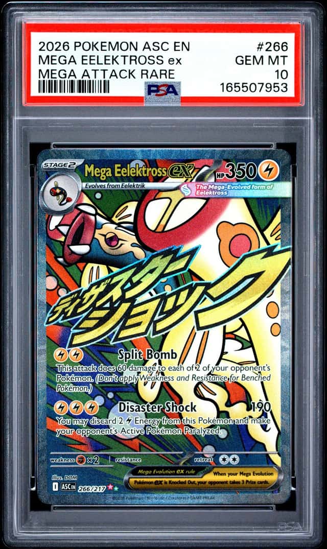 MEGA EELEKTROSS ex