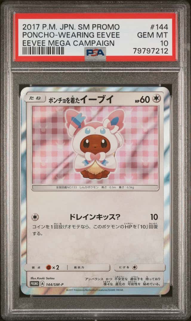 Poncho-Wearing Eevee