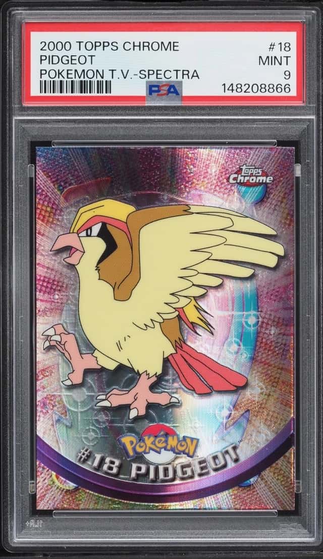 Pidgeot