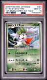 Icy Sky'S Shaymin