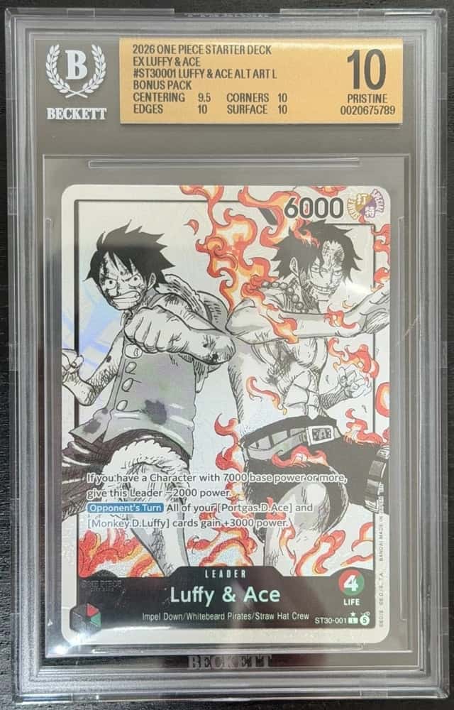 Luffy & Ace