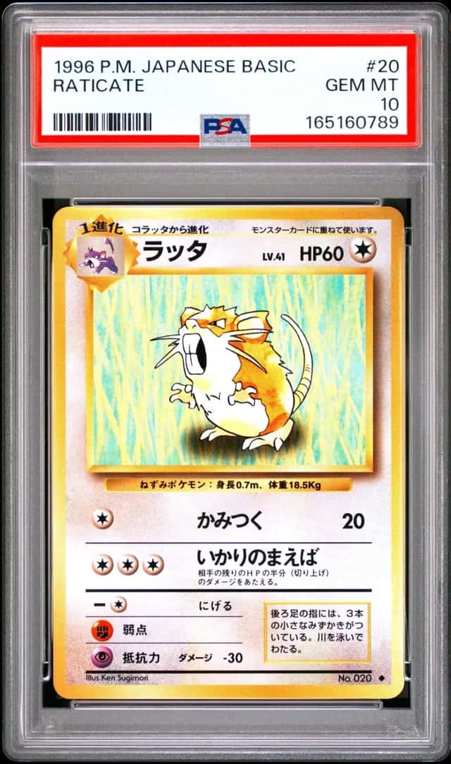 Raticate