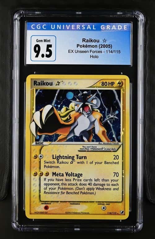 Raikou