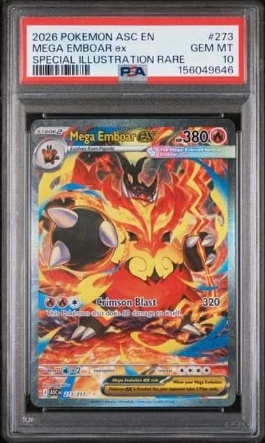 MEGA EMBOAR ex