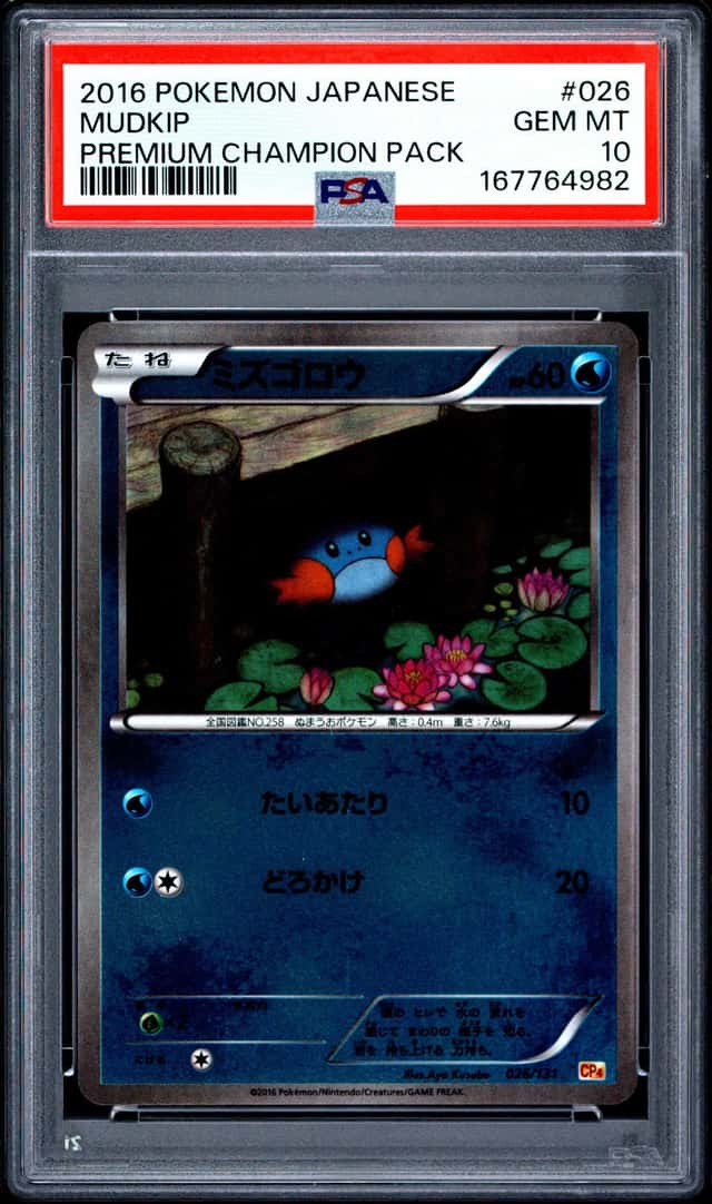 Mudkip
