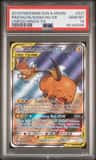 Raichu & Alolan Raichu Gx