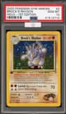 Brock'S Rhydon
