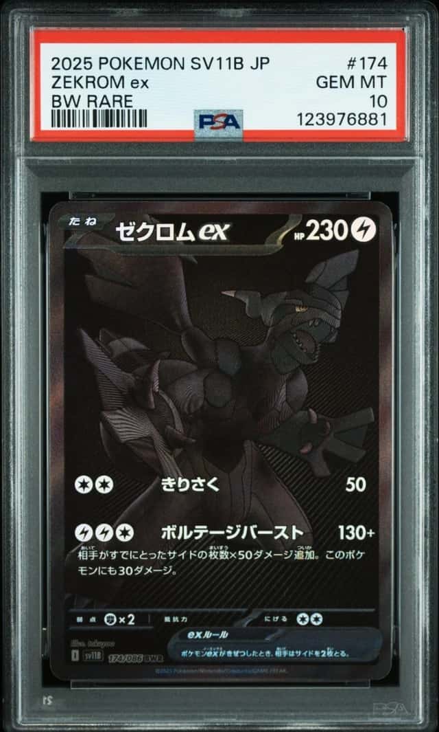 ZEKROM ex