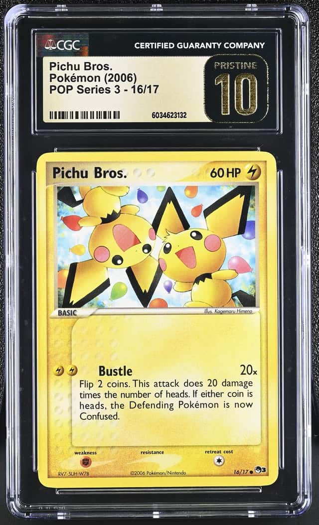 Pichu Bros