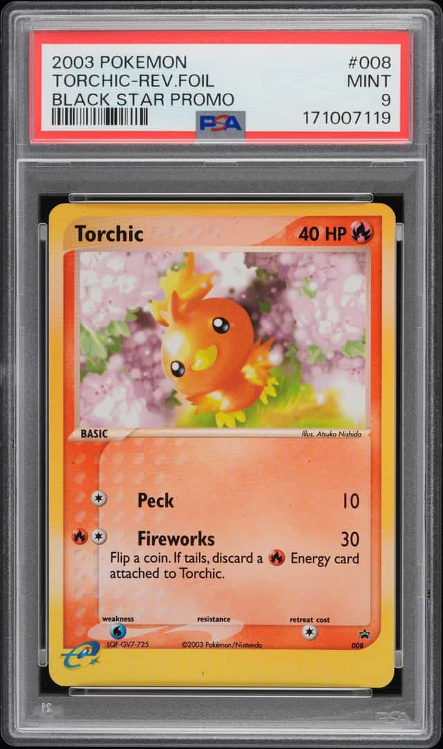 Torchic