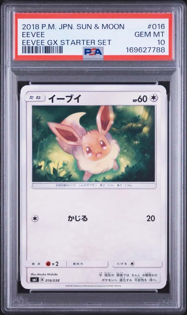 Eevee