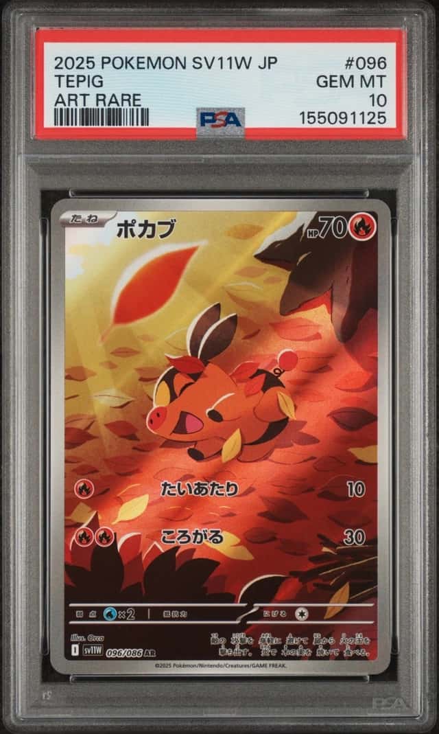 Tepig