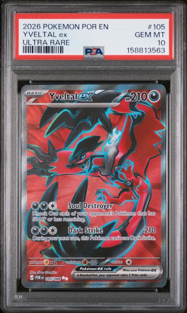 YVELTAL ex