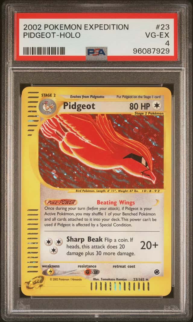 Pidgeot