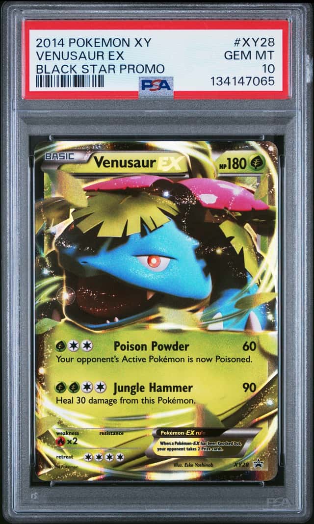 Venusaur EX