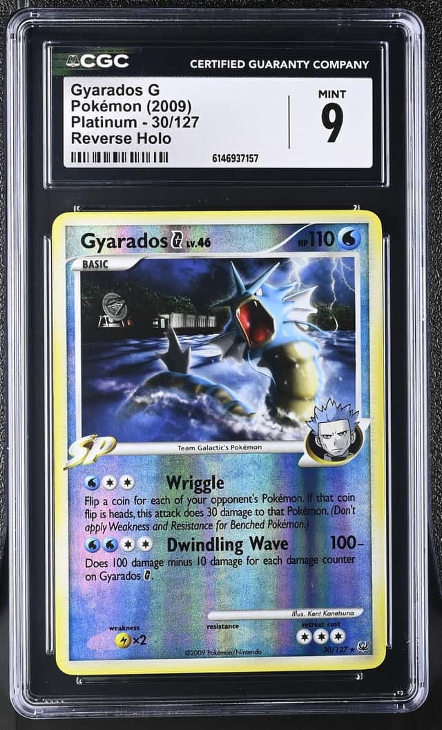 Gyarados G