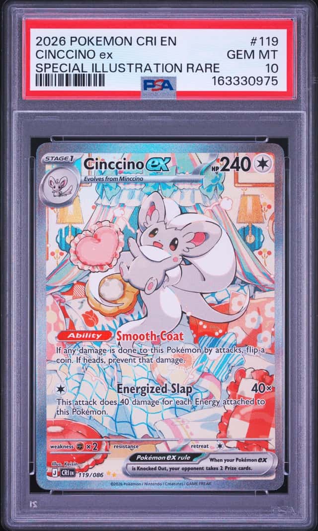 CINCCINO ex