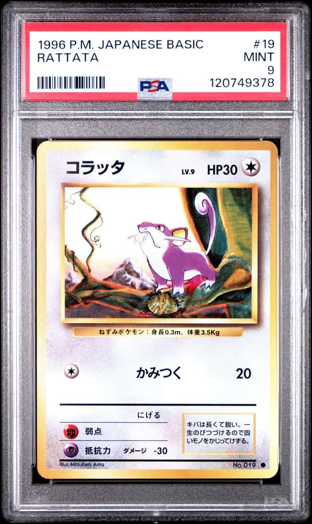 Rattata