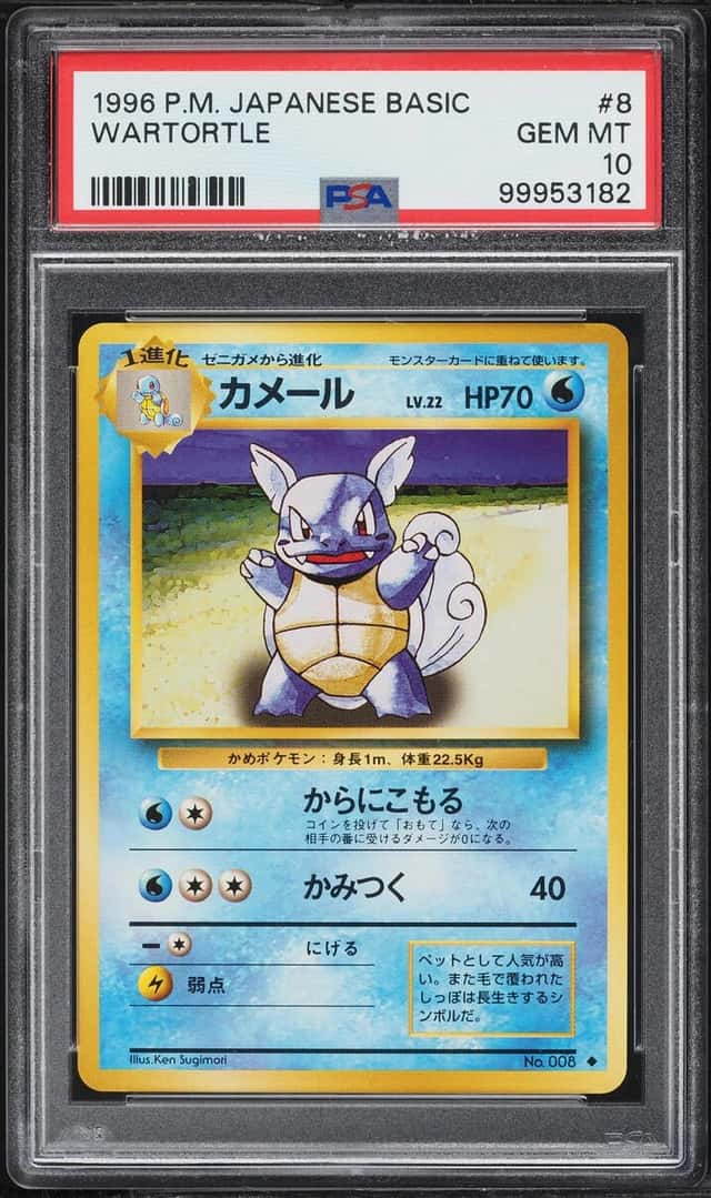 Wartortle